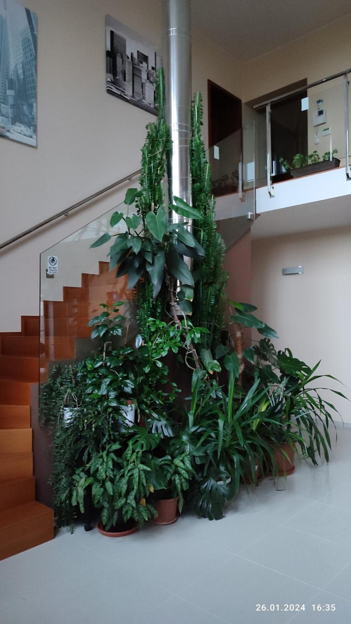 Villa Homestay Nad Helmrovkou プラハ エクステリア 写真
