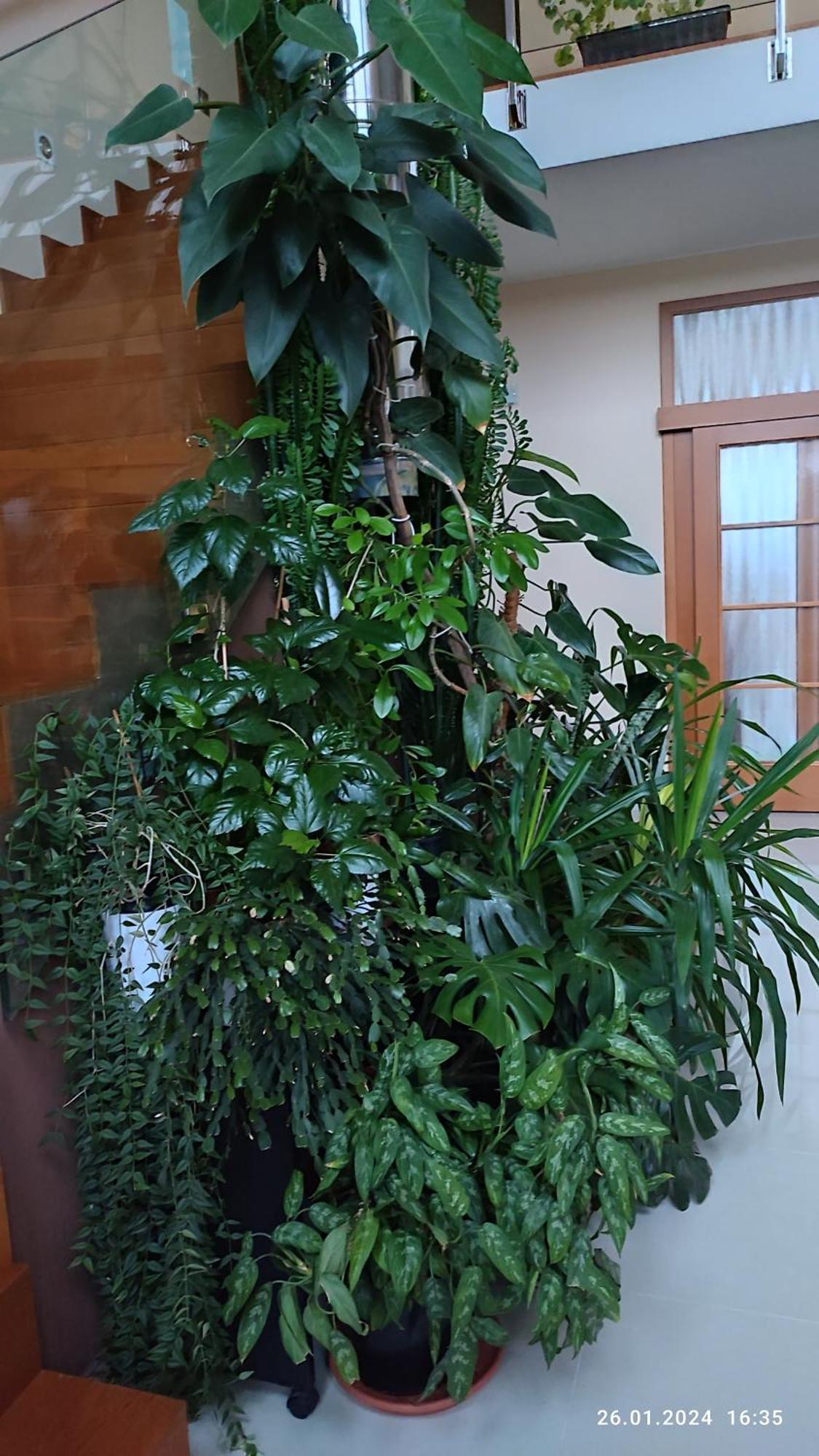 Villa Homestay Nad Helmrovkou プラハ エクステリア 写真