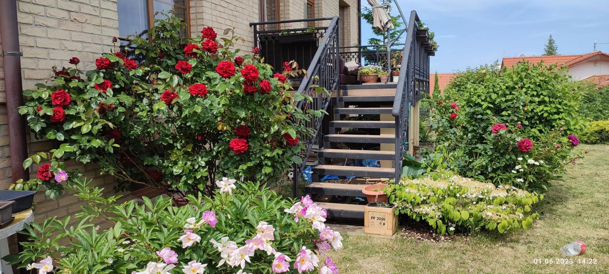 Villa Homestay Nad Helmrovkou プラハ エクステリア 写真